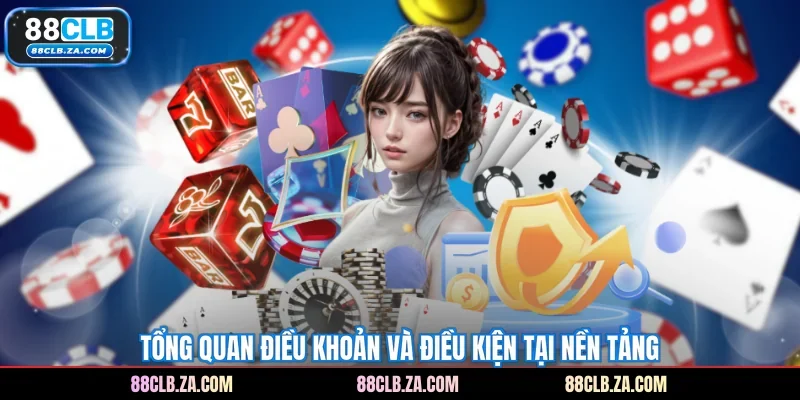 Tổng quan điều khoản và điều kiện tại nền tảng